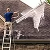 Roof Washing and Insurance Companies